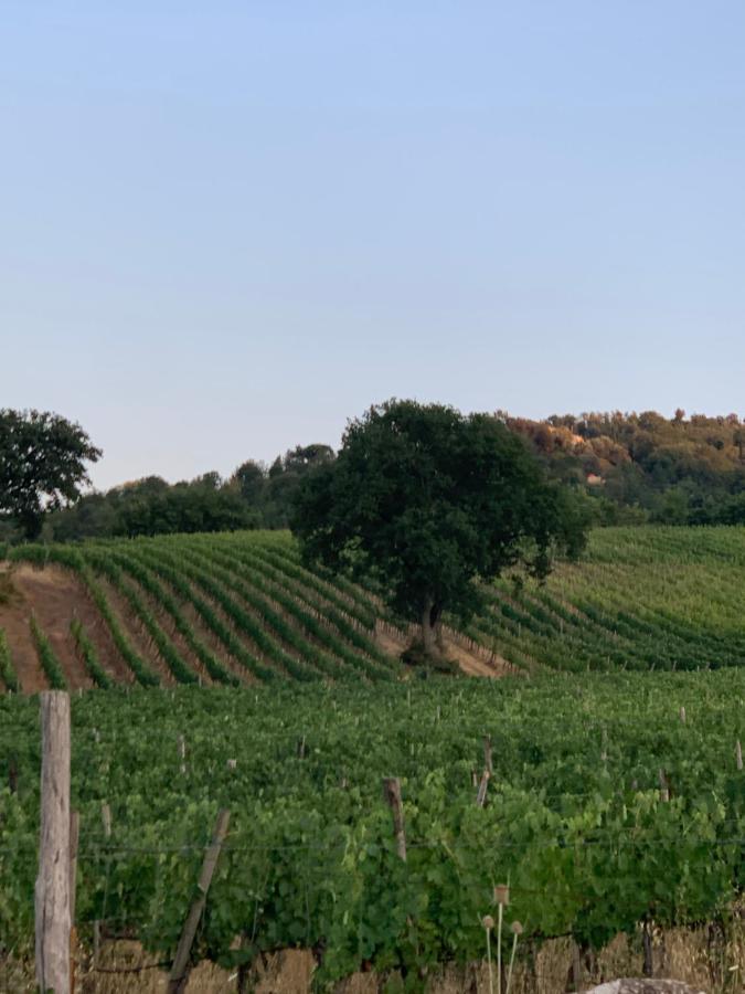 Podere Le Mulina Castiglione d'Orcia Ngoại thất bức ảnh